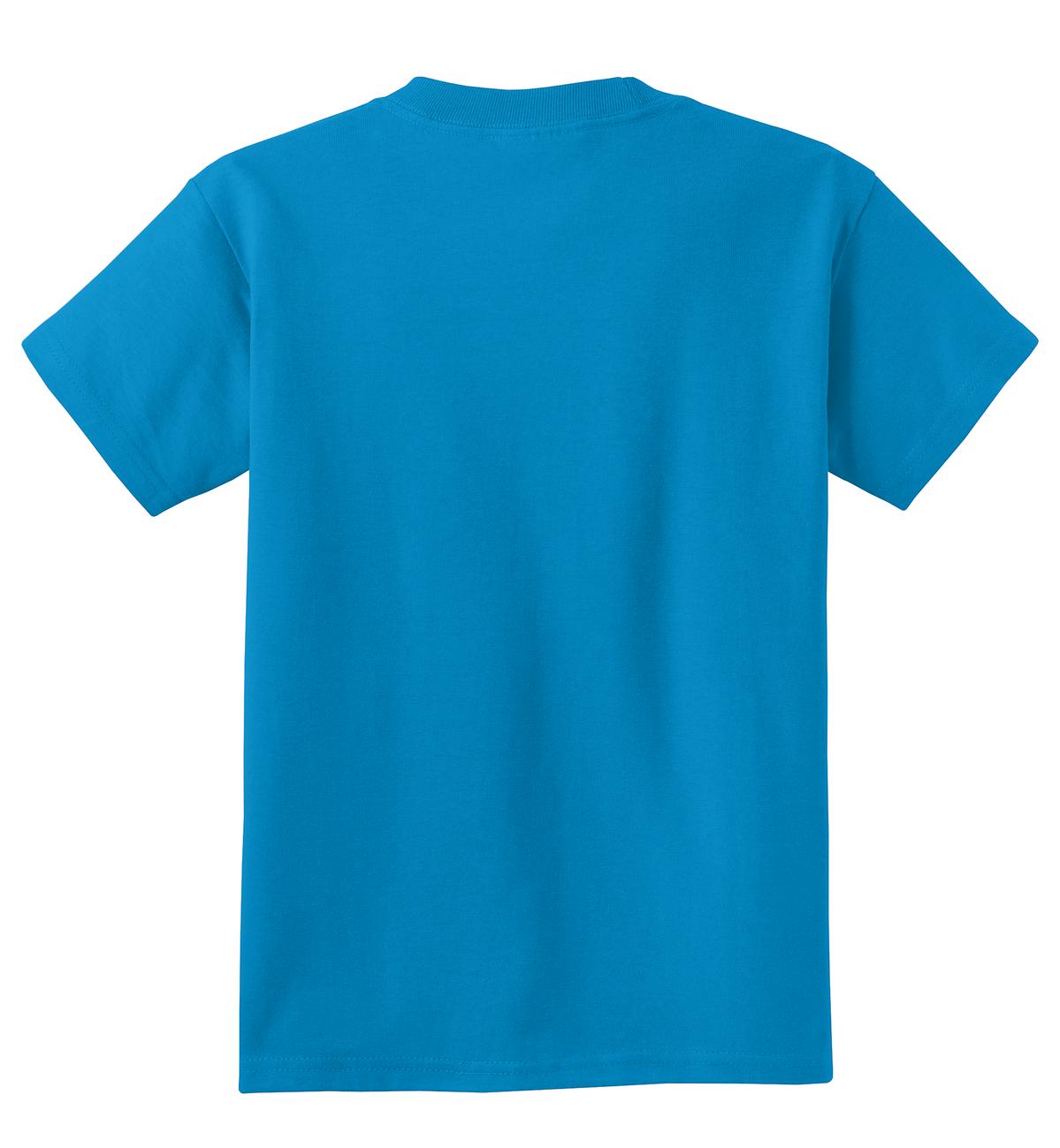 Rear View of Sapphire Port & Co Youth Core Cotton Tee. PC54Y plain