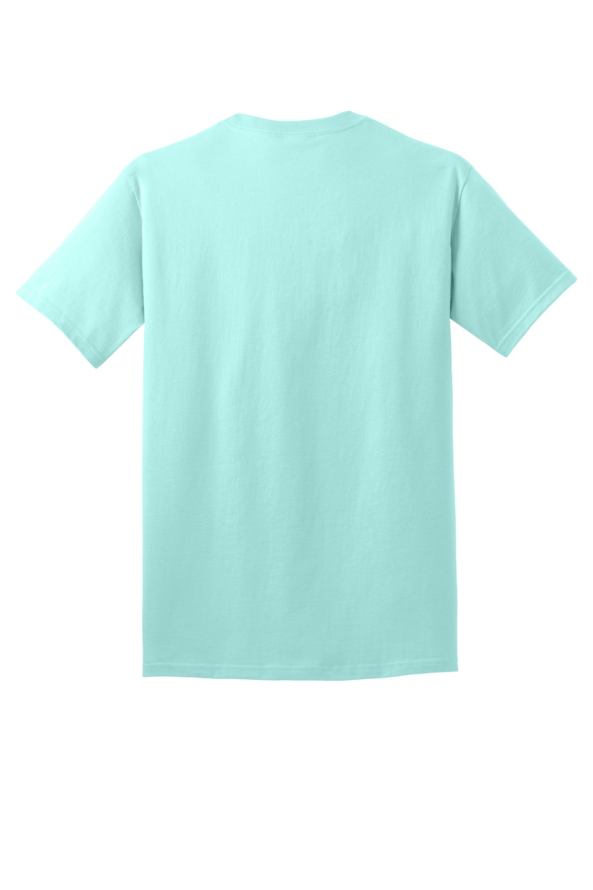 Rear View of TrCeladon Port & Co Core Cotton Tee. PC54 plain